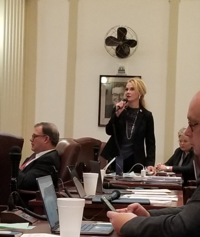 Toni Hasenbeck on the House floor